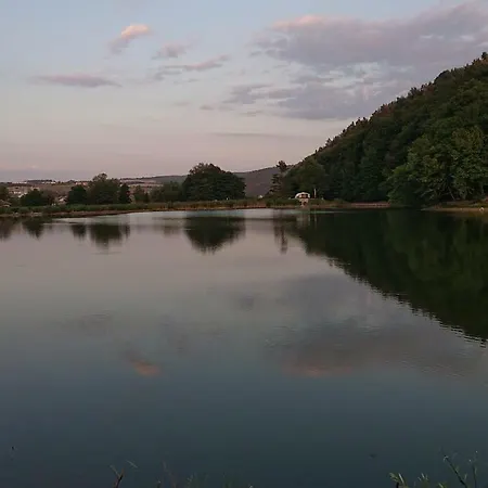 Lion-7 * Tryavna